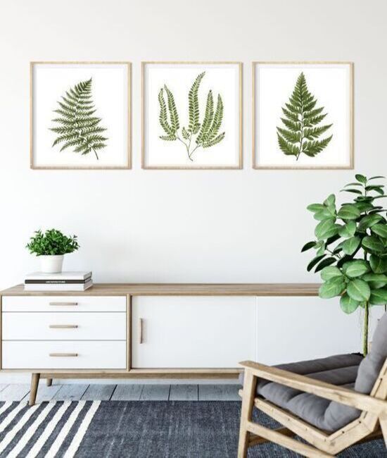 Enhance Your Living Space with Botanical Posters A Decorating Guide